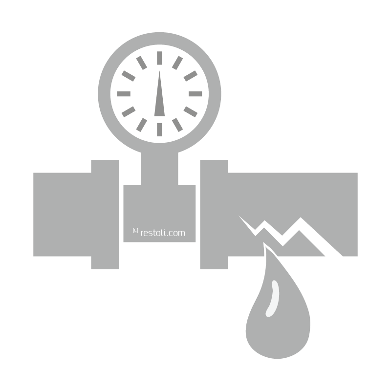 RestoLine Leak Detection